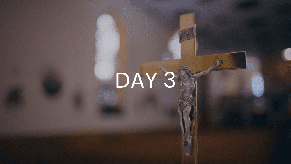 day 3